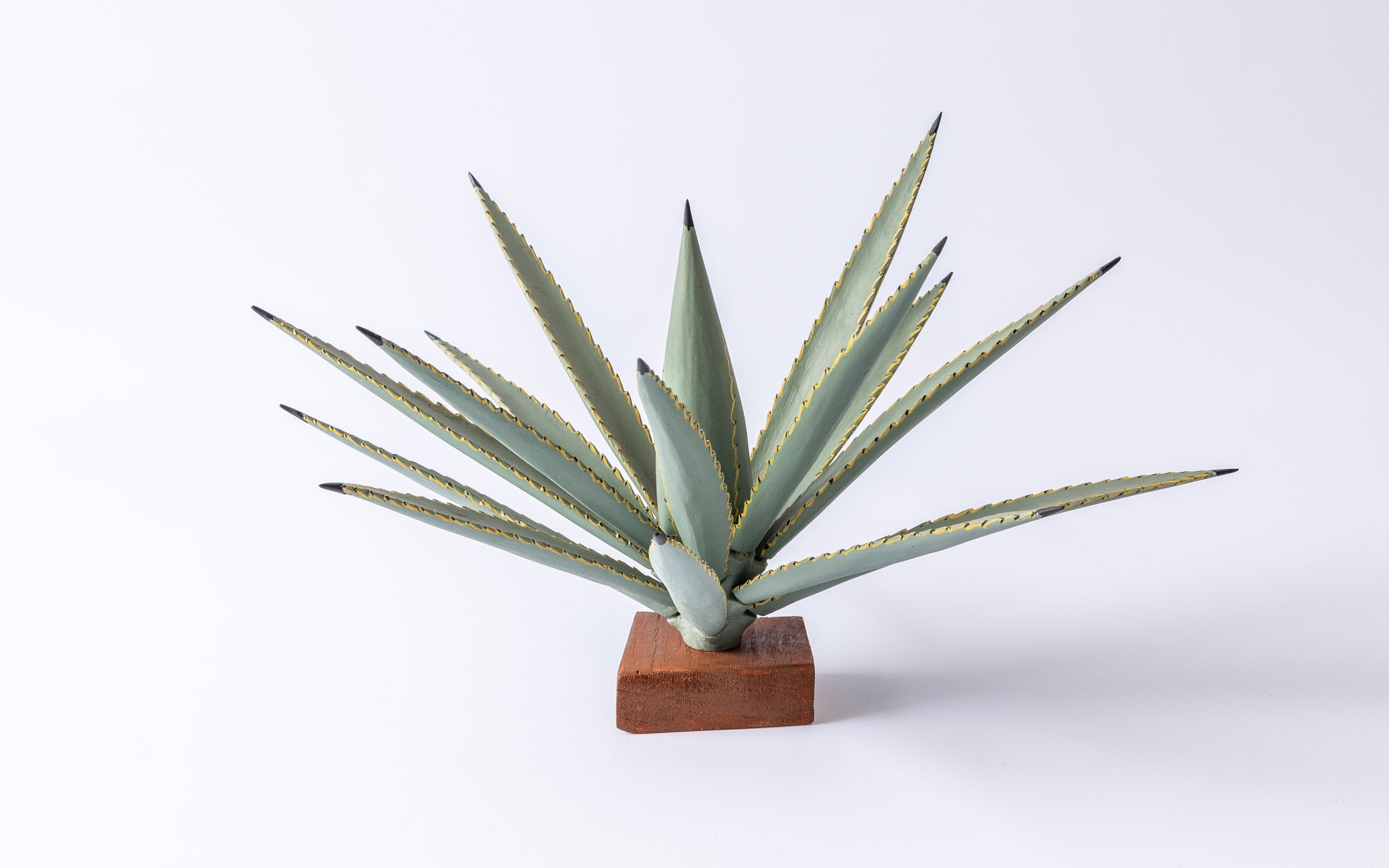 Agave mit 'Virgen de Guadalupe': Bemalte Holzarbeit, Ansicht von hinten, ein Werk von Gabino Reyes Lopez