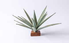 Agave mit 'Virgen de Guadalupe': Bemalte Holzarbeit, Ansicht von hinten, ein Werk von Gabino Reyes Lopez
